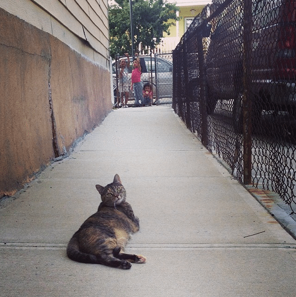 Photo Of The Day: That Certain South Slope Song