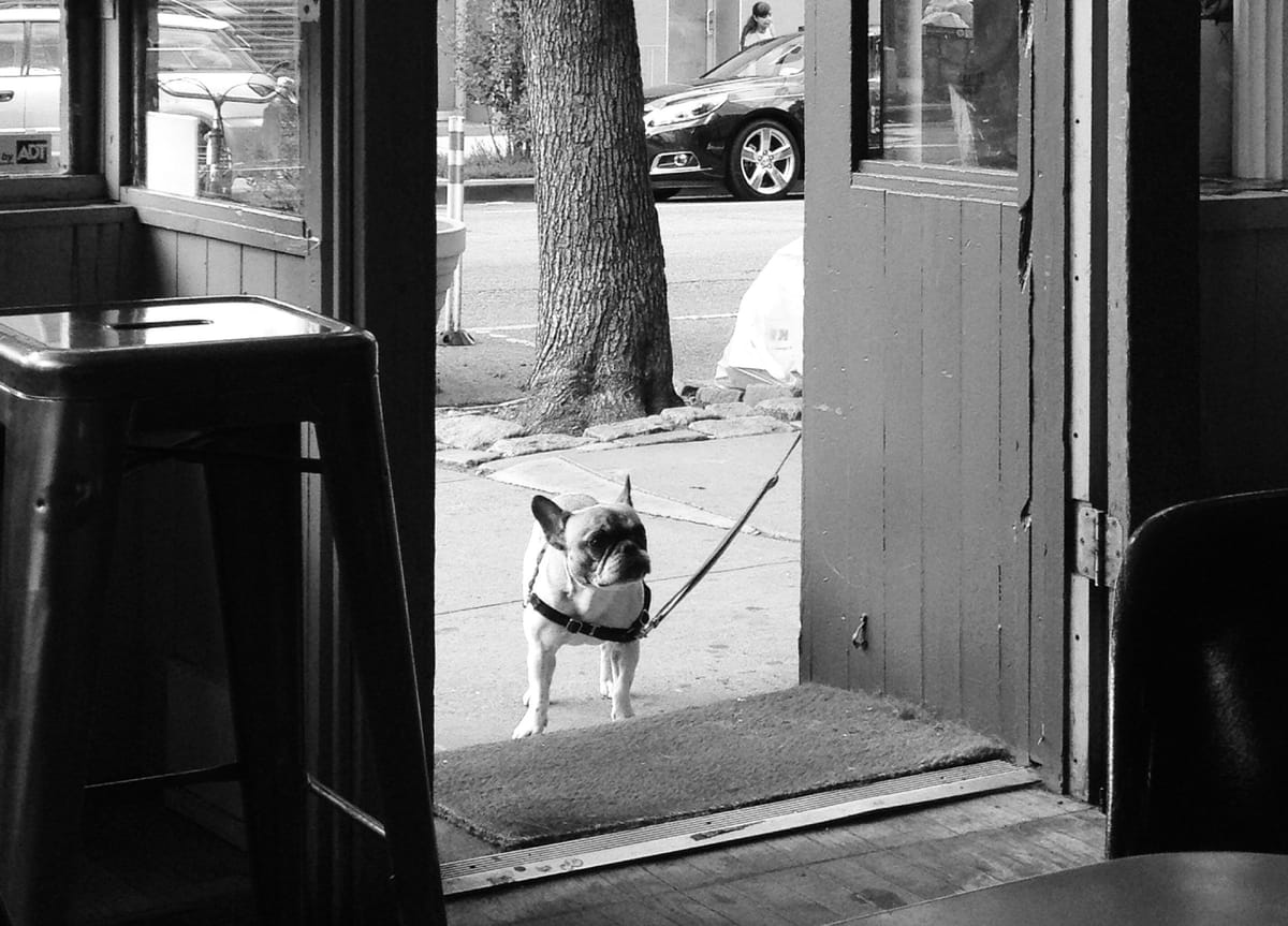 Photo Of The Day: The Wait