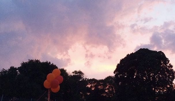 Photo Of The Day: Summer In The Park