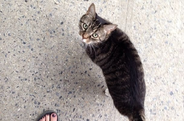 Photo Of The Day: Introductions