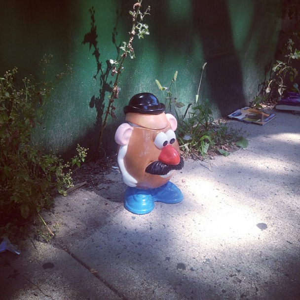 Photo Of The Day: Lost Your Head