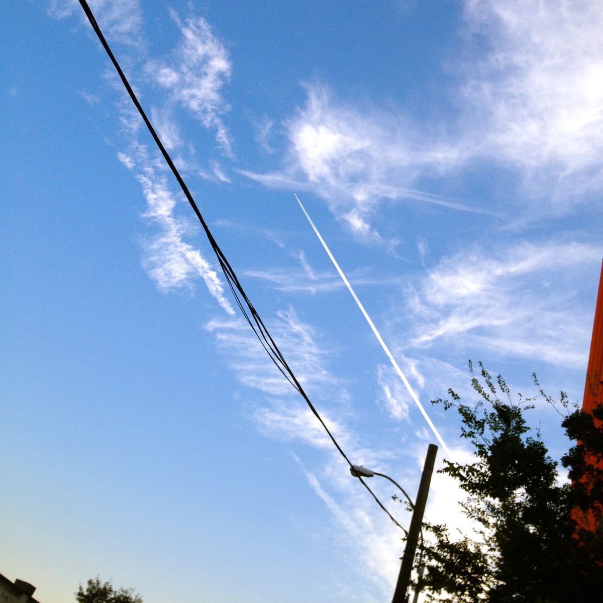 Brooklyn News Roundup