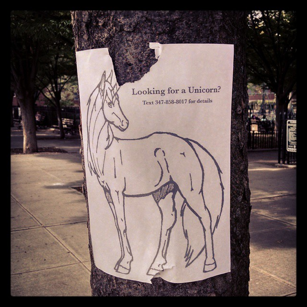 Photo Of The Day: Looking For A Unicorn?