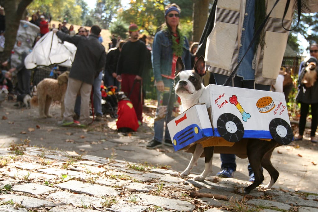 Get Your Costumes Ready For The Great PUPkin!