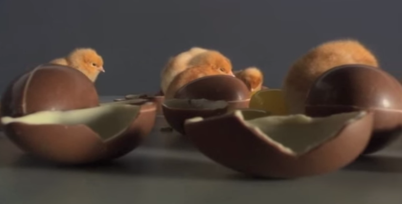 See ‘Food Design’ At Next Week’s Plow To Plate Event At The Coop