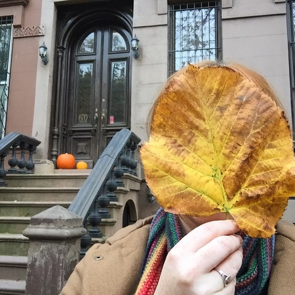 Photo Of The Day: Leaface