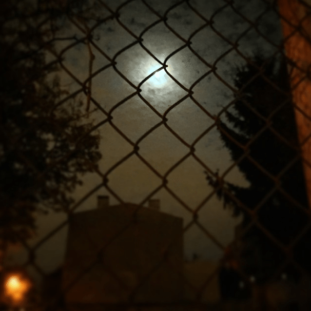 Photo Of The Day: Over The Moon