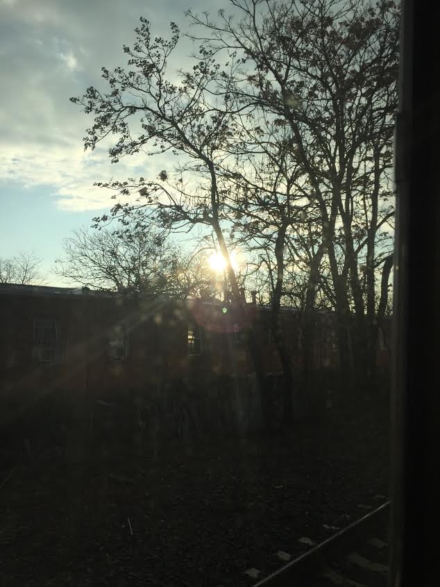 Weekend Reading: Brooklyn Stories You May Have Missed