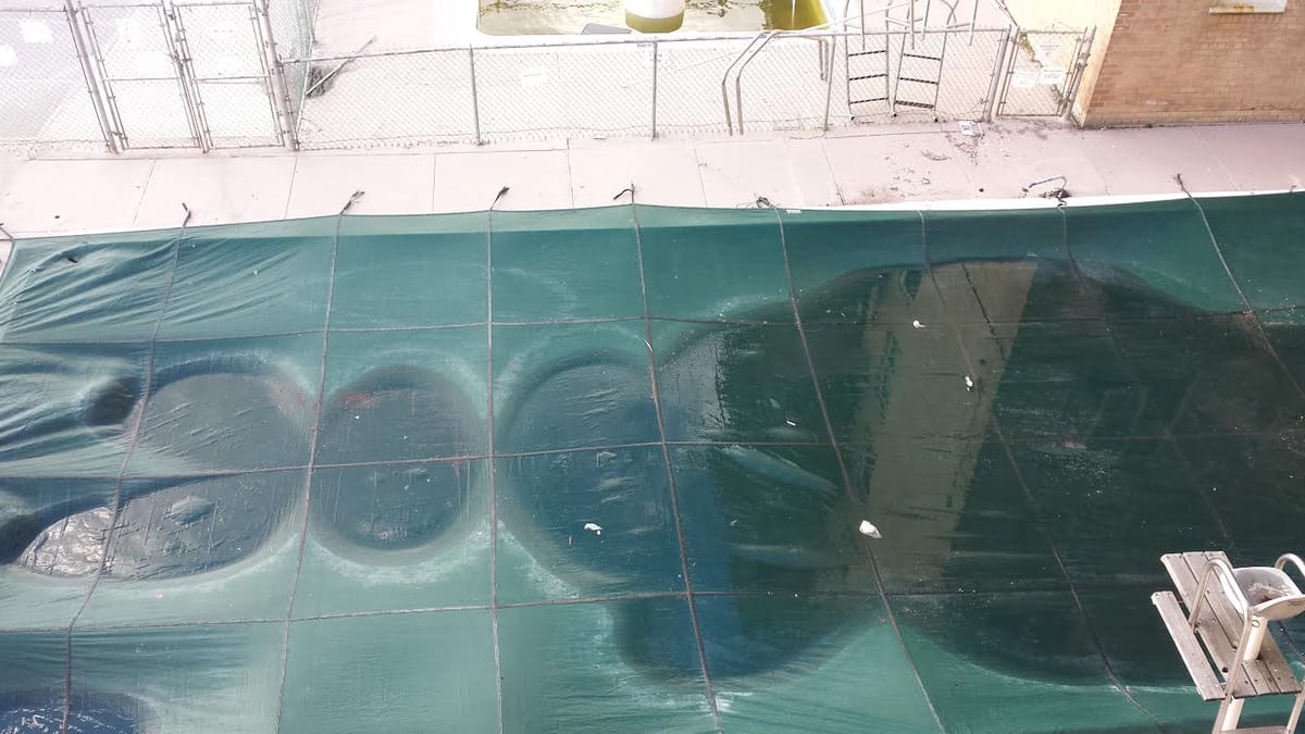 Morning Mug: “And If You Go Chasing Rabbits…”