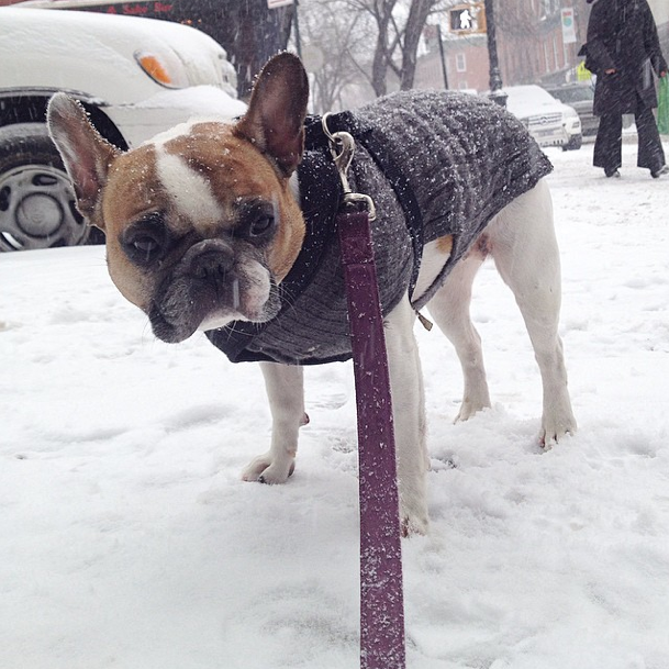 Photo Of The Day: Send Us Your Blizzard Pics!