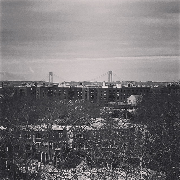 ICYMI: Puppy Burglars, Loehmann’s Expansion, iPhone Fraudsters