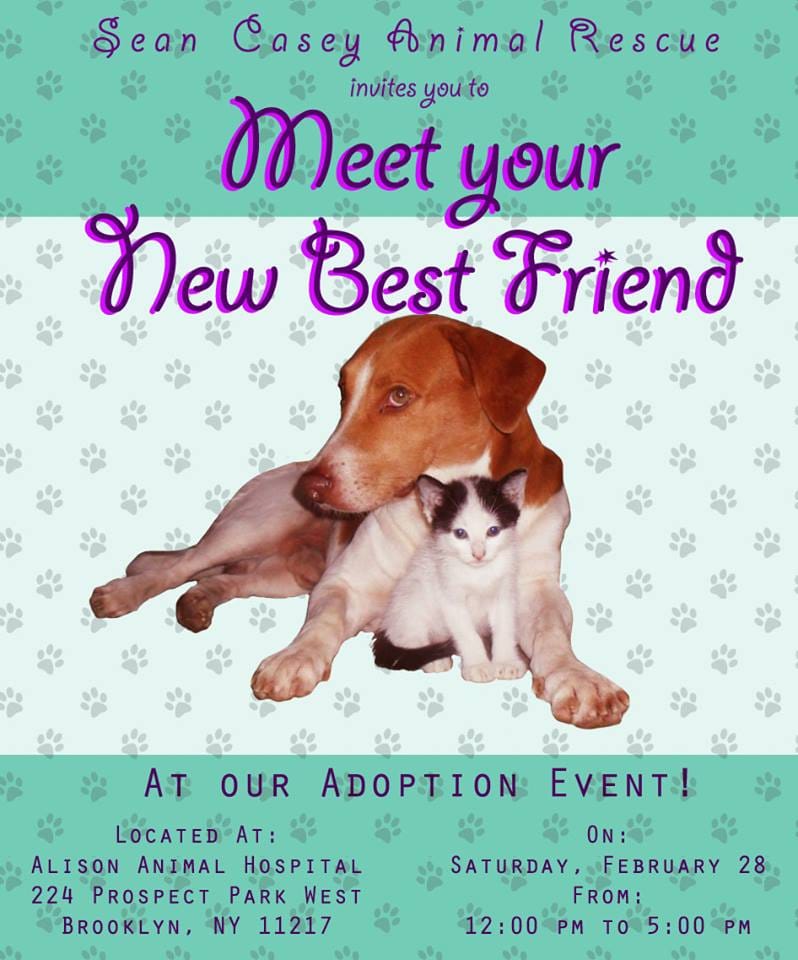 Find A New Furry Friend At An Adoption Event This Saturday