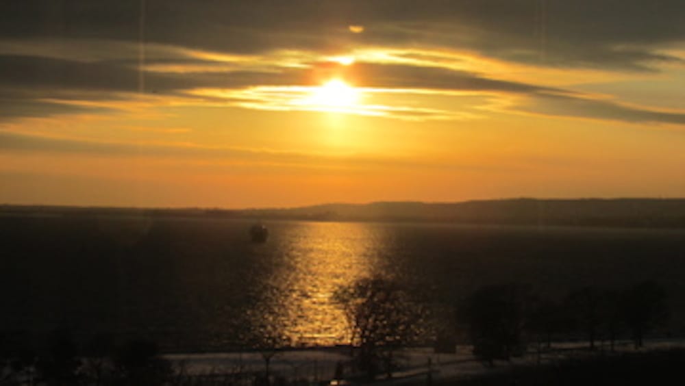 Photo Of The Day: Miles Of Gold