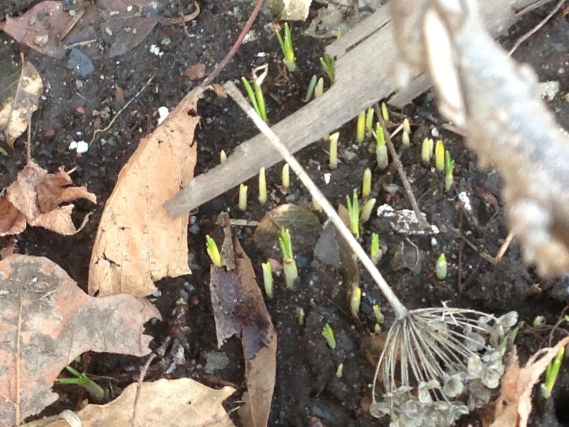 Morning Mug: Almost Springtime