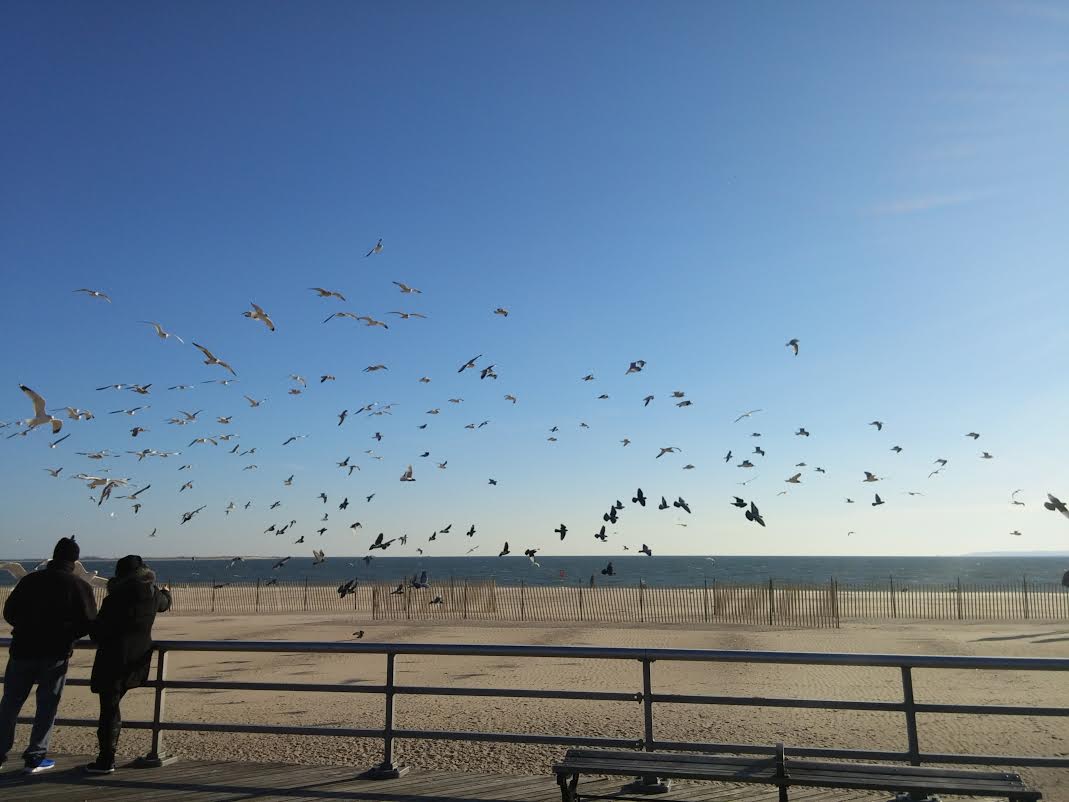 Morning Mug: Engulfed By Gull-ibility