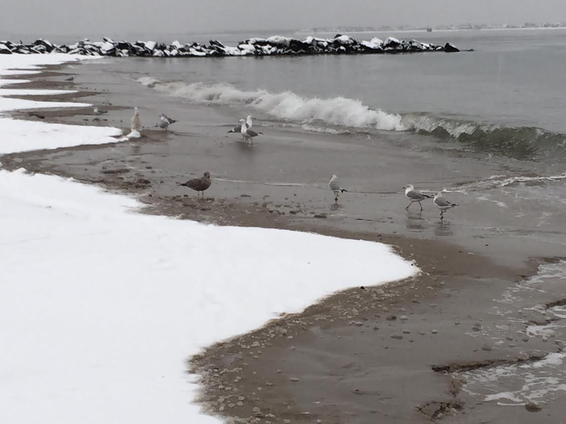 Puzzle: The Days Of Sea And Sand Will Soon Be Upon Us…