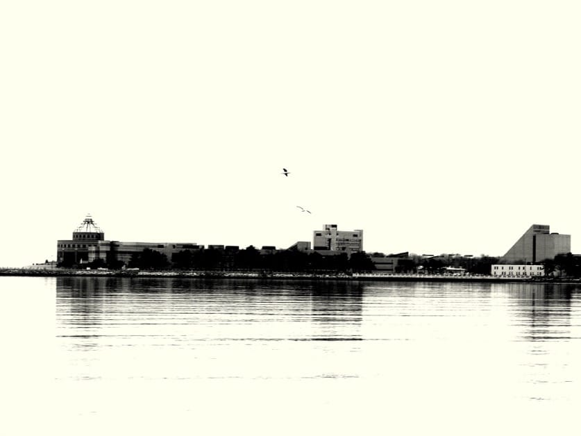 Morning Mug: “Vanilla Bay”