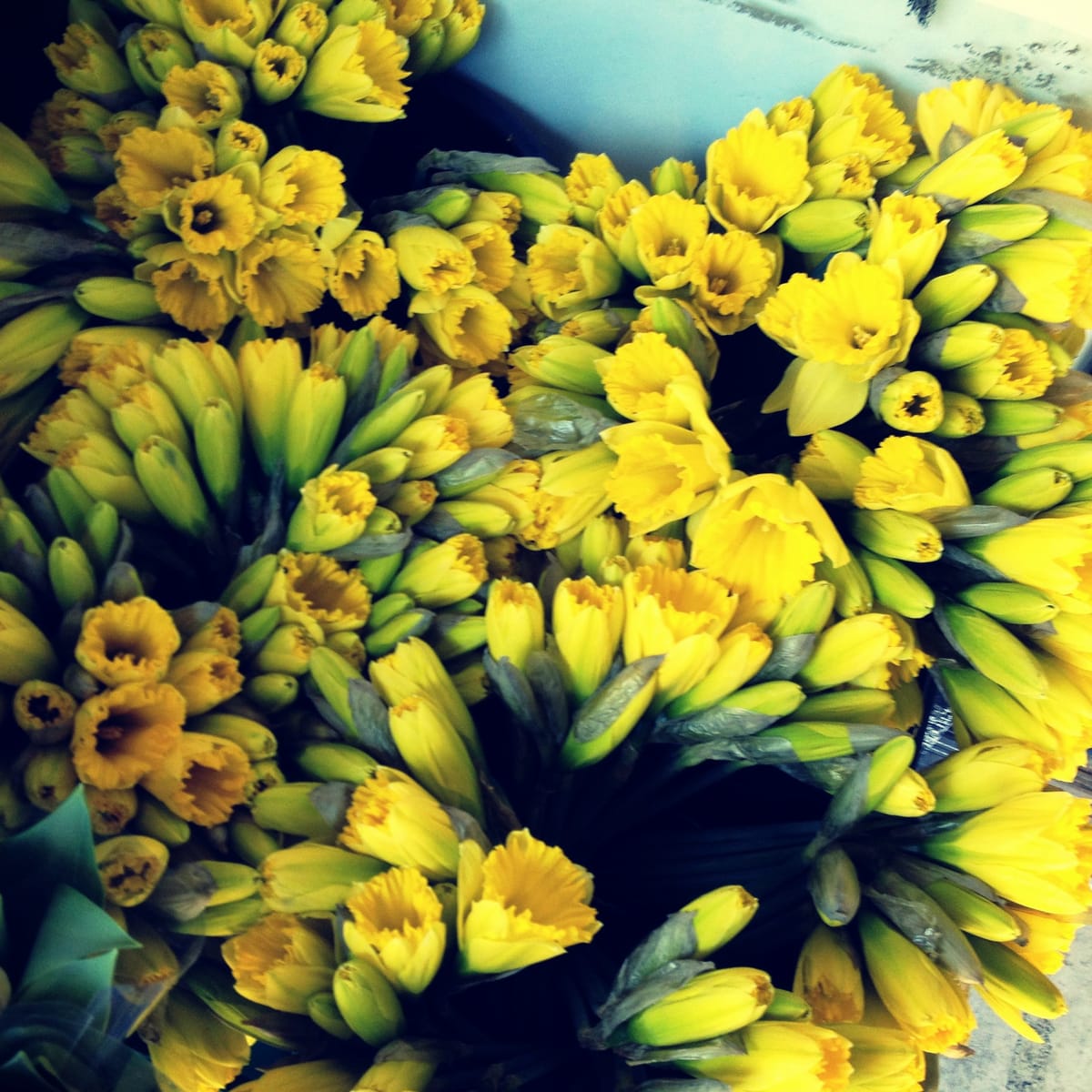 Photo Of The Day: Spring Is On The Way