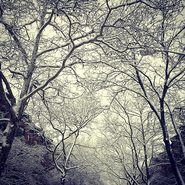 Photo Of The Day: Almost Spring!