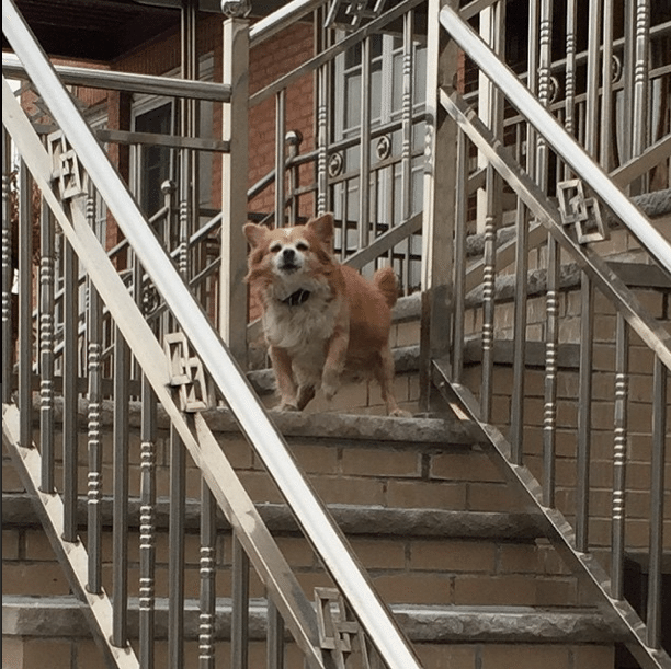 Photo Of The Day: Bark-Hello!