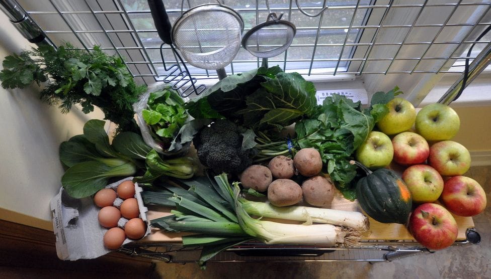 Things To Do In Kensington & Windsor Terrace This Weekend