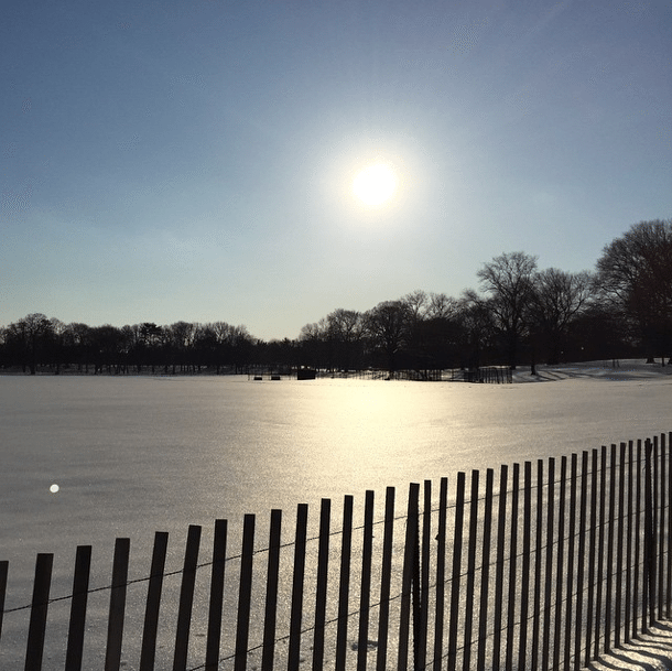 Things To Do In Prospect Park In March