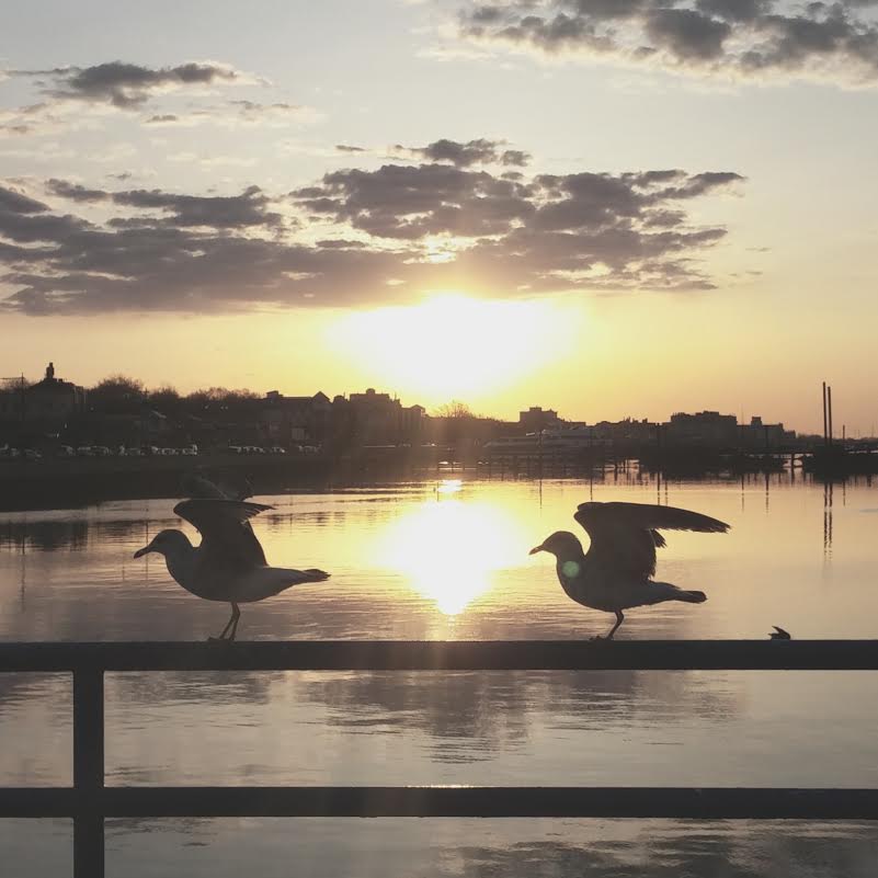 Morning Mug: Bookends