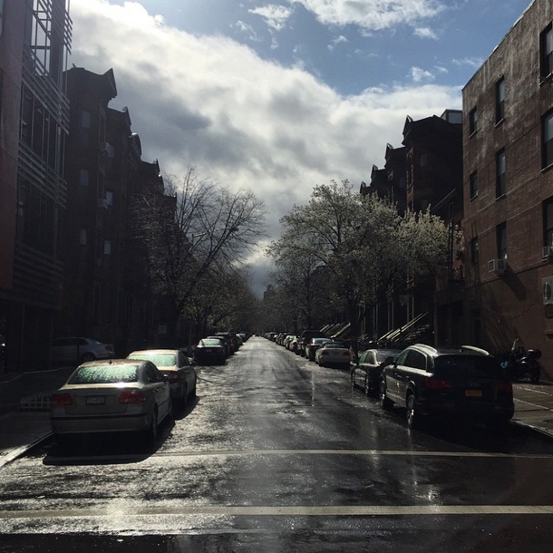 Photo Of The Day: Slick