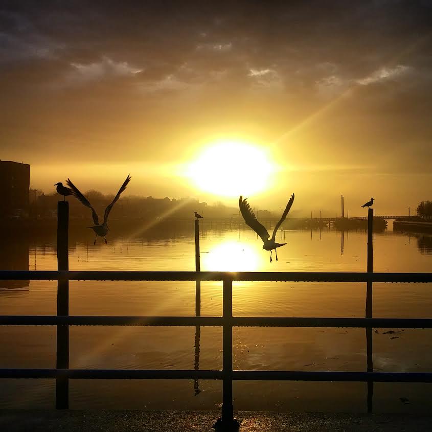 Morning Mug: “Summertime, And The Living Is Easy” — DuBose Heyward & Ira Gershwin