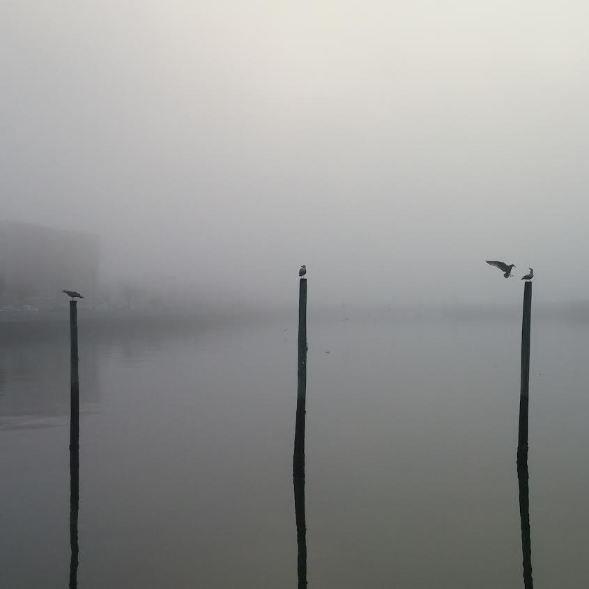 Morning Mug: I Tried To Grab Fog, But I Mist