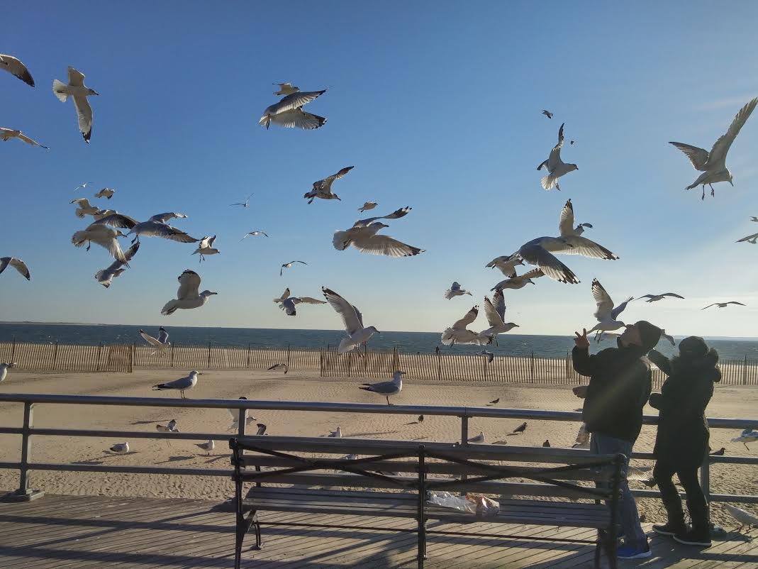 Morning Mug: “If I Had To Choose, I Would Rather Have Birds Than Airplanes.” — Charles Lindbergh