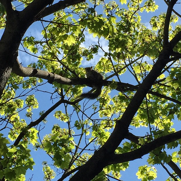 Photo Of The Day: Hello Down There