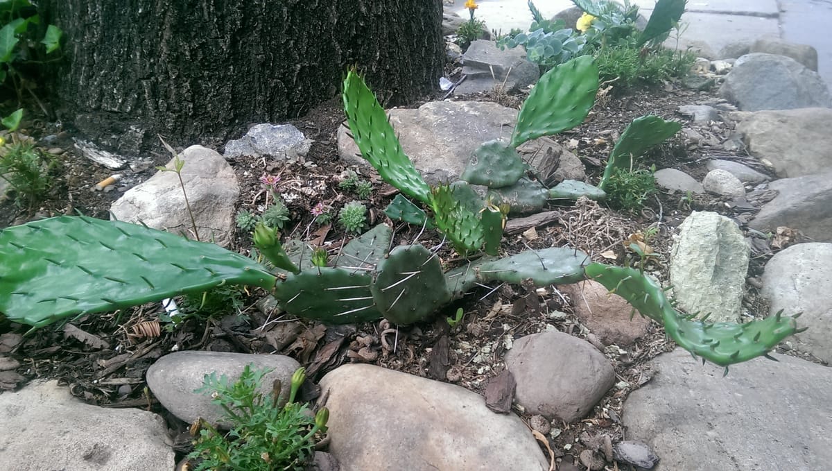 Brooklyn News Roundup