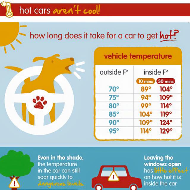Sean Casey Animal Rescue Reminds Neighbors To Keep Pets Safe & Out Of Parked Cars This Summer