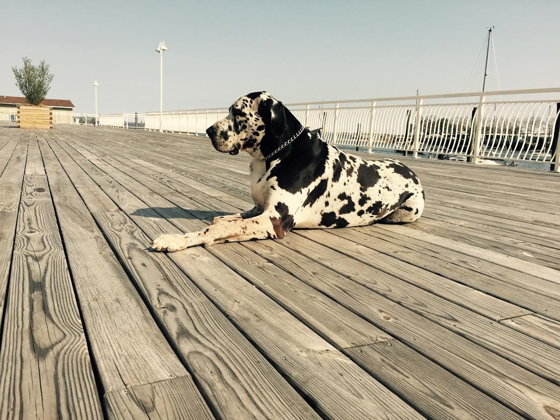 Weekend Reading: Brooklyn Stories You May Have Missed