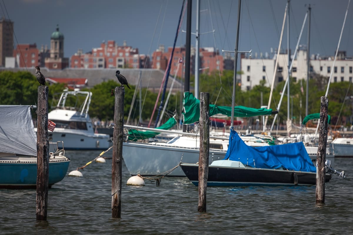 Morning Mug: “We May Have All Come On Different Ships, But We’re In The Same Boat Now.” — Dr. Martin Luther King, Jr.