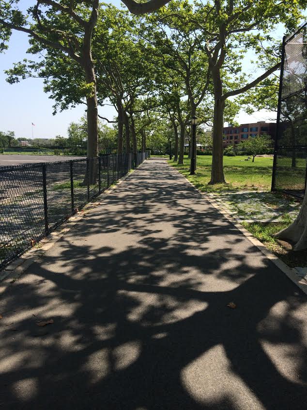 Morning Mug: “Nature’s Mosaic”