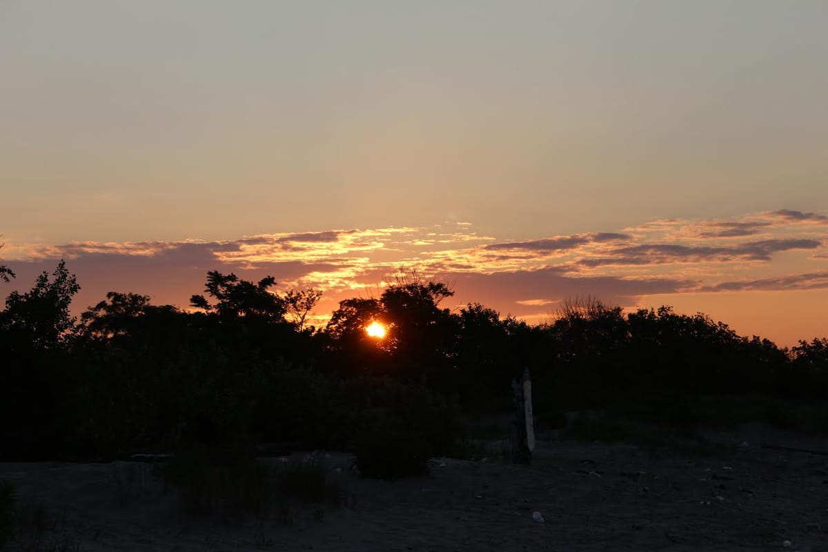 Morning Mug: “Thank God Men Cannot Fly, And Lay Waste The Sky As Well As The Earth.” ― Henry David Thoreau
