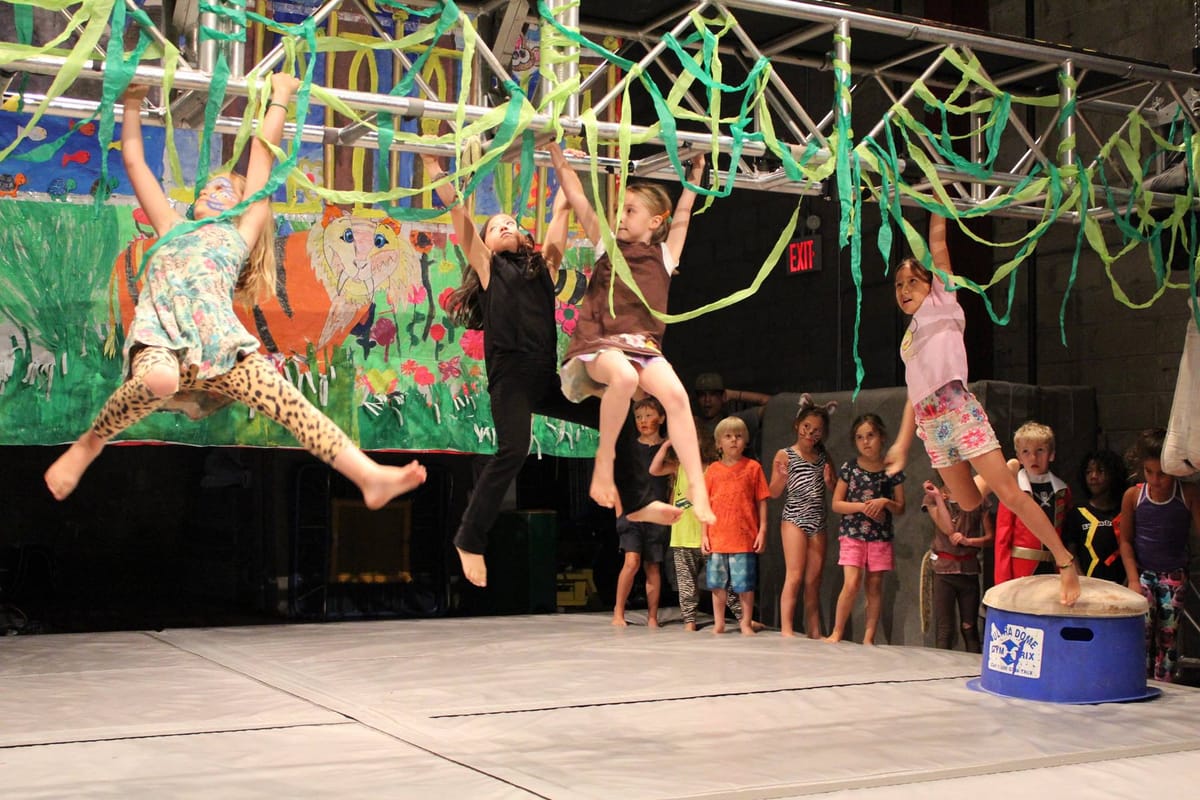 On The Flying Trapeze: Circus Arts For Kids In Brooklyn