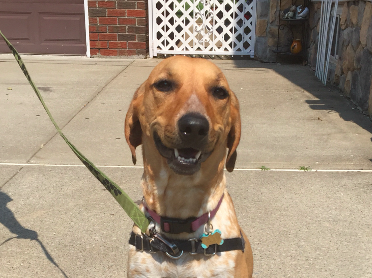 Morning Mug: “The More I See Of Man, The More I Like Dogs.” — Mme. de Staël