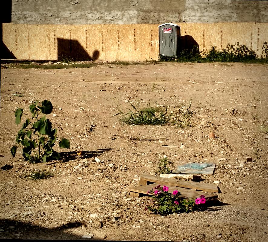 Morning Mug: “Gather Ye Rosebuds While Ye May, Old Time Is Still A-Flying: And This Same Flower That Smiles To-Day To-Morrow Will Be Dying.” — Robert Herrick