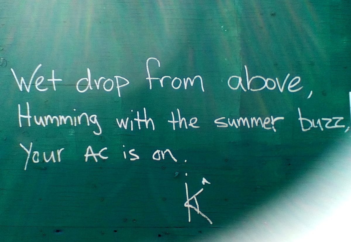 Photo Of The Day: Summer Haiku