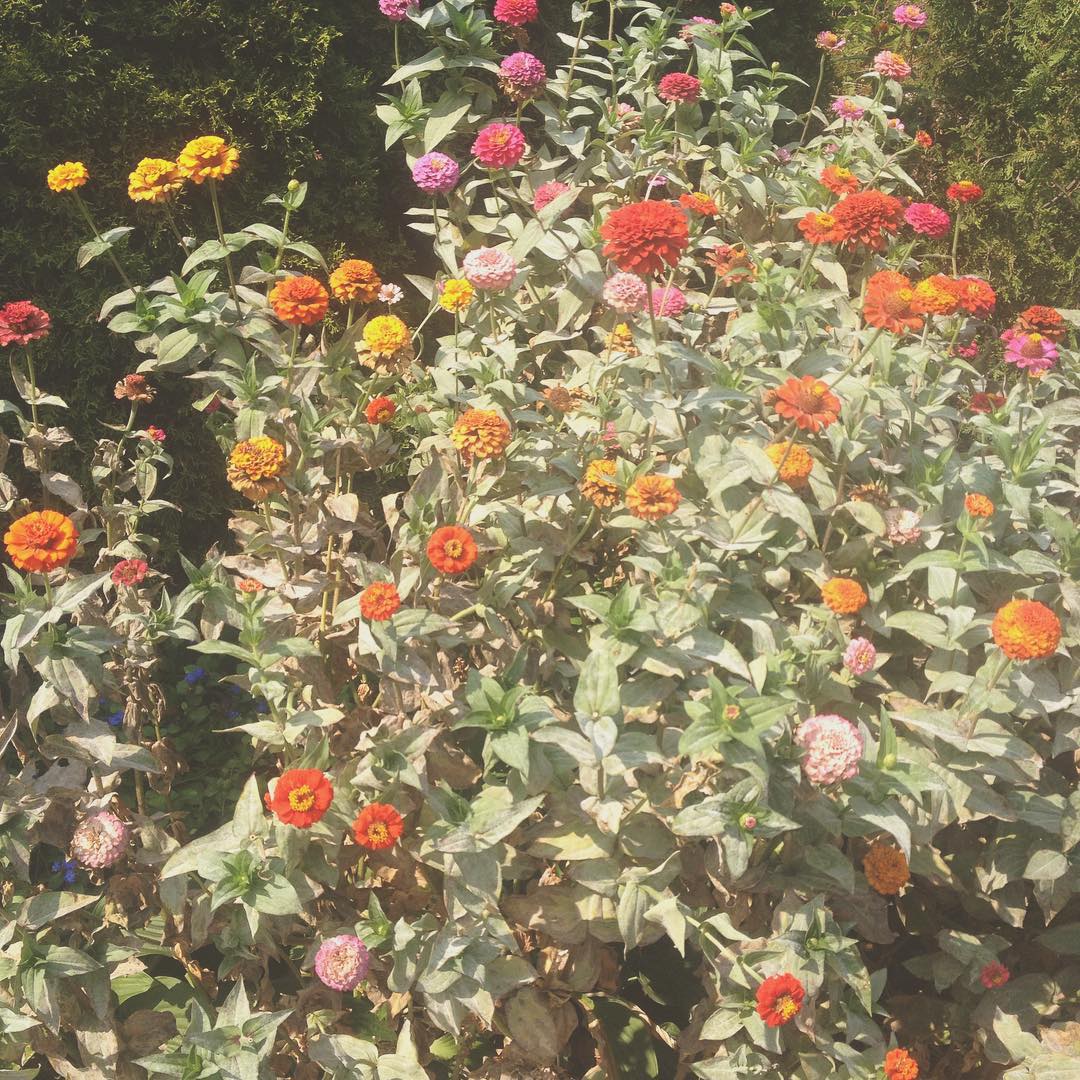 Photo Of The Day: Colorful