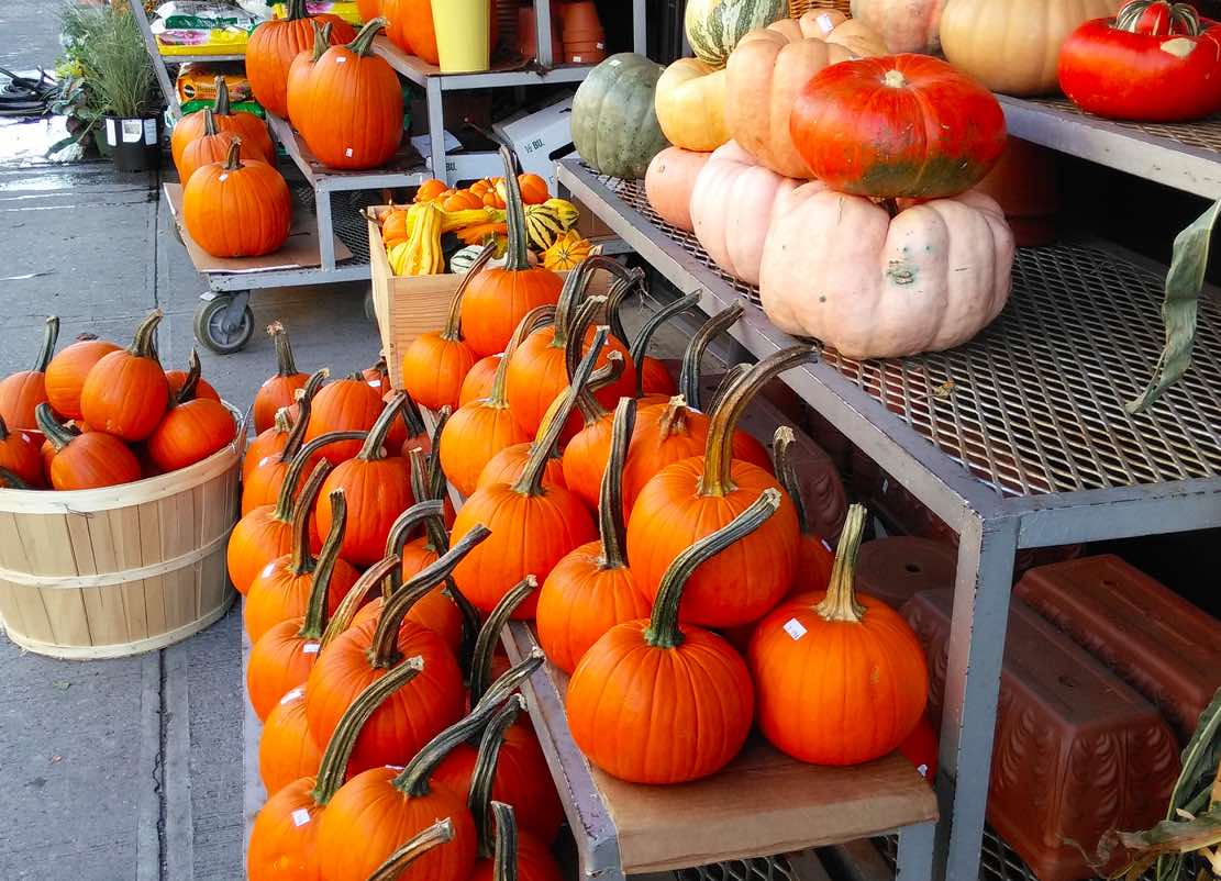 Photo Of The Day: Take Your Pick