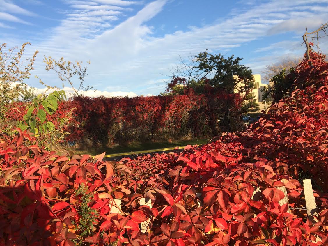 Morning Mug: “Aprils Have Never Meant Much To Me, Autumns Seem That Season Of Beginning, Spring.” ― Truman Capote (Breakfast At Tiffany’s)