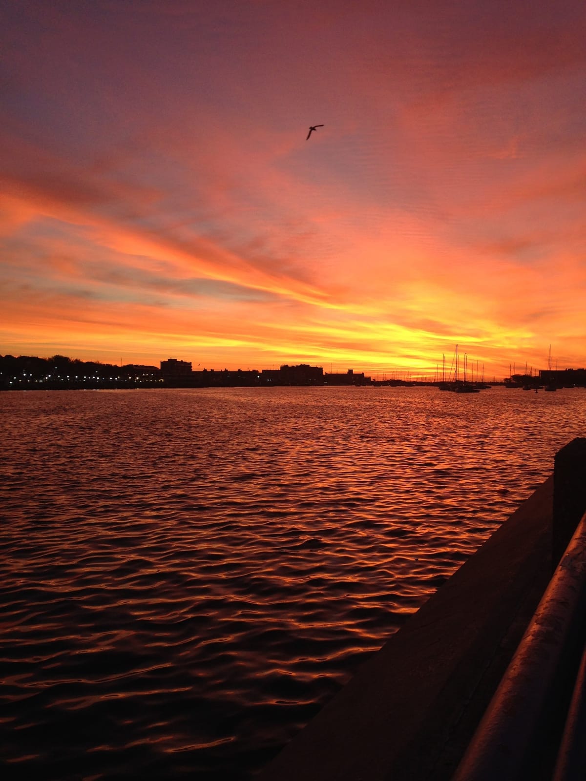 Morning Mug: “People Assume That Somehow Fame And Wealth Will Keep Mortality At Bay.” — Moby