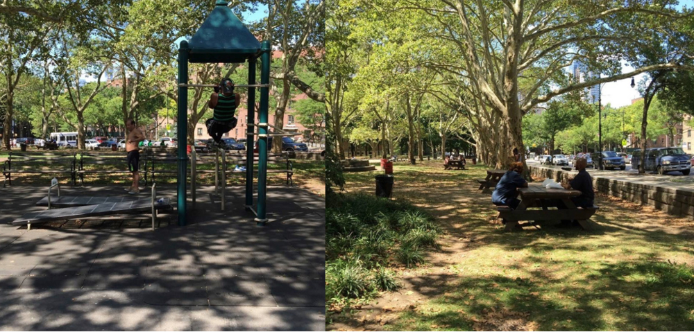 Vote Now: Monday Deadline To Get $5M For Fort Greene Park And Cuyler Gore Park