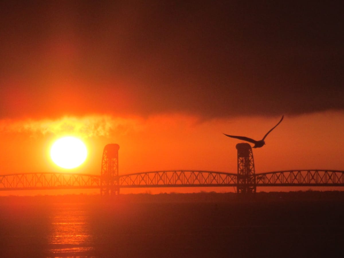 Morning Mug: “Hold Fast To Dreams, For If Dreams Die, Life Is A Broken-Winged Bird That Cannot Fly.” — Langston Hughes