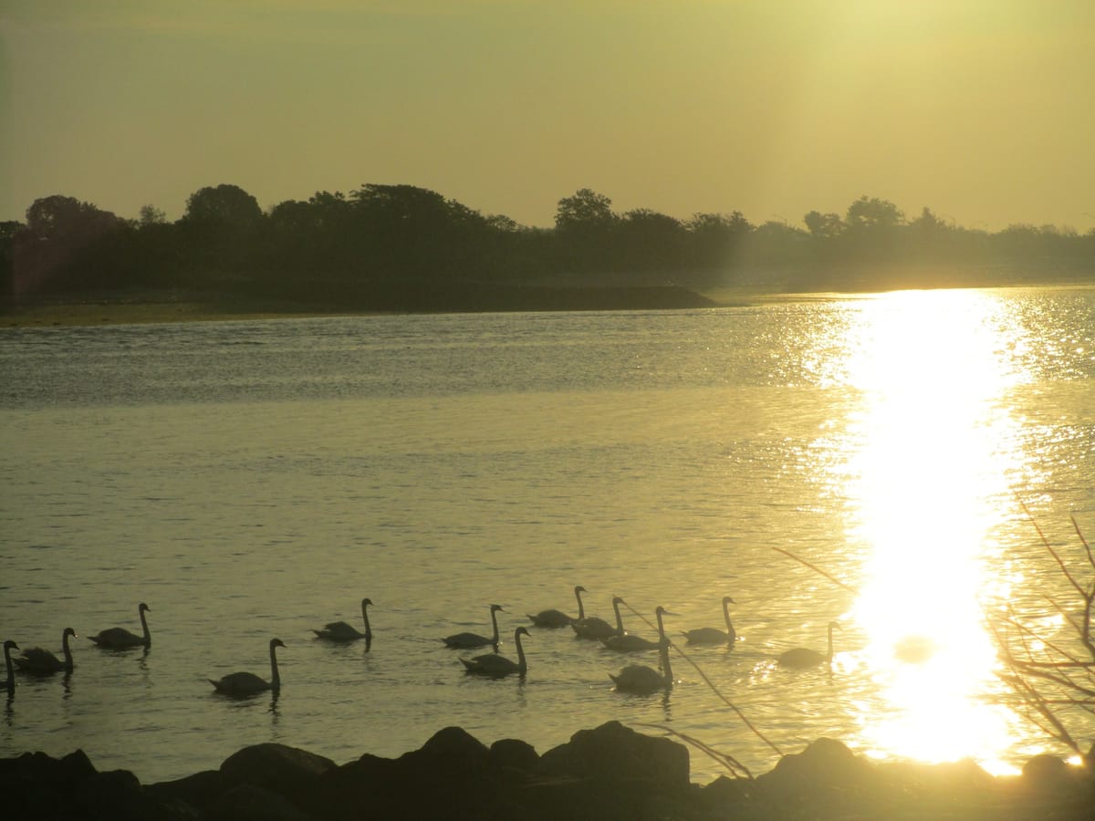 Morning Mug: “For To Be Free Is Not Merely To Cast Off One’s Chains, But To Live In A Way That Respects And Enhances The Freedom Of Others.” — Nelson Mandela