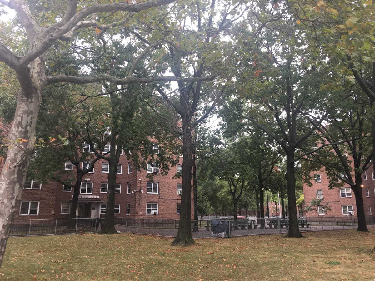 Toy Gun Mistaken For Real Firearm At Nostrand Houses, Police Called